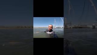 "Underwater Adventures in the harbor“