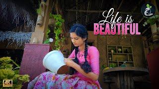 "Life is beautiful" Nami's Life | Pottery painting | പൊട്ടുവെള്ളരി ജ്യൂസ് | Blonde Cucumber Juice.