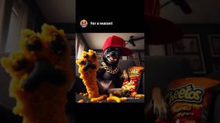 Chihuahua demonstrates the correct way to eat Cheetos #memes