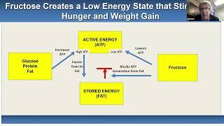 Fructose and Uric acid: The Double Whammy Driving Metabolic Diseases