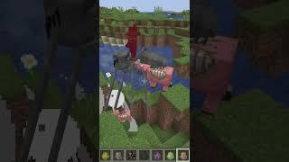 Illage and Portage MOD in Minecraft - The New Raid bosses