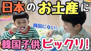 「韓国にない!!!」韓国の甥っ子が大はしゃぎする日本のもの