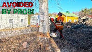Rejected by Pros – Here’s How I Took Down the Trees They Refused