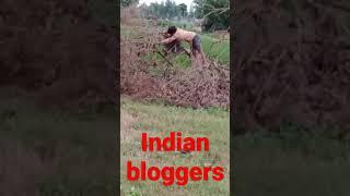 Indian Blogger trending#short#video#backtobasics#indianblogger