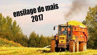 Ensilage de mais| RENAULT 110-54 | MF | JAGUAR  [GOPRO][CANON]