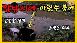 짬낚시에 붕어 마릿수 역시 이낚시가 최고야나만에 노하우붕어낚시 #fishing#업이낚시#내림낚시#붕어낚시