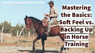 How to Train Your Horse to Distinguish a Soft Feel from Backing Up