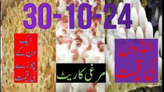 30-10- 2024 broiler rate| Today egg rate |Today chicks price|Today poultry rate| today chicken rate