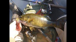 Canoe Camping Sudbury! Smallmouth, Wind And Canadian Wilderness.