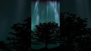 Psychedelic trip # 9 Short