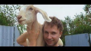 Gary The Goat - The movie