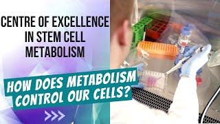 Finnish Centre of Excellence in Stem Cell Metabolism