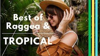 BEST OF TROPICAL MIX || RAGGAETON || INTERNATION POP MIX || 2023 || DJ NXG MIX