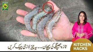 Fresh Prawns | How to Buy The Freshest Shrimp | Kitchen Tips | Rida Aftab | MasalaTV