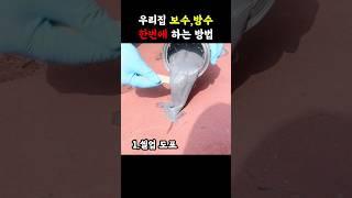우리집 보수,방수 한번에 하는 방법 #방수 #diy #시공 #옥상방수 #보수#shorts