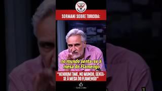 Uma das poucas vezes que tive que concordar com o Sormani ️ #flamengo #futebol