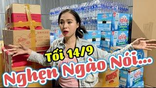 Tối 14/9 BÍCH TRÂM Nghẹn Ngào Nói Điều Này … Chuẩn Bị Chuyển Hàng Ra Cứu Trợ Bà Con Miền Bắc