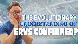 Has Jon Perry REALLY CONFIRMED the Evolutionary Understanding of ERVs? A Response (PART ONE)