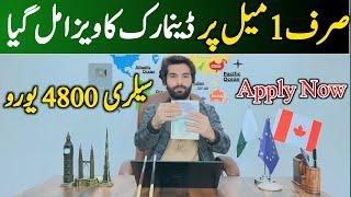 Denmark Work Permit 2025 || Easy Visa From Pakistan || Jobs in Europe