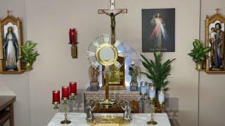 LIVE Eucharistic Adoration - Sisters of Divine Mercy