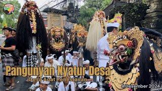 Pangunyan Nyatur Village Ceremony | Penestanan Traditional Village - Ubud | December 4, 2024