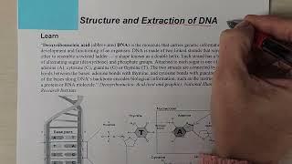 Extraction of DNA Pre-Lab