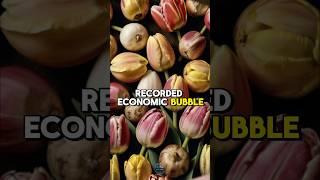 The First Economic Bubble: the collapse of tulip Mania 