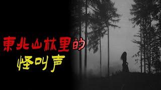 东北山林里的怪叫声|神子救母|天涯神贴左央事件|鬼故事|恐怖故事|解压故事|灵异#都市傳說#靈異#天津#佛牌#泰国#恐怖故事#亲身经历#助眠解压#离奇故事#北京#睡前故事#噩梦#分享#情感#感情#邪事