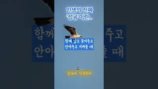 인생의 진짜 성공이란.. [ '강목어' 인생편지 ] #shorts #성공이란 #인생의 성공이란 #인생의 성공 #진짜 성공이란 #성공의 이유 #성공이유 #강목어