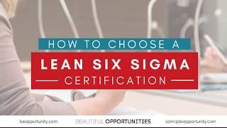 Intro to Lean Six Sigma Roles