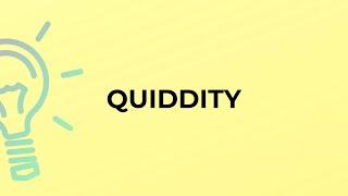 What is the meaning of the word QUIDDITY?