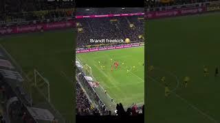 Julian Brandt freekick Goal Dortmund vs Freiburg #dortmund #bvb #goal #brandt #bundesliga #football