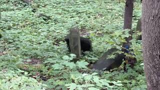 Bedzin Jewish Cemetery Podzamcze Street September 29, 2022