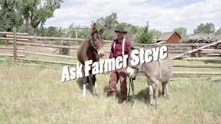 Ask Farmer Steve: The Transportation Team