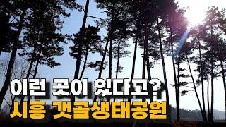 [시흥 여행] 갯골생태공원에 혼자 다녀왔어요 / 시흥시 가볼만한 곳 추천