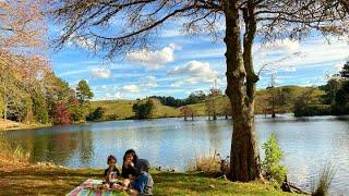 Picnic at McLaren Falls Park