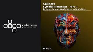 PREMIERE: Callecat, Nick Varon - Beyond Perceptions (Hernan Cattaneo & Jamie Stevens Remix) [Manual]