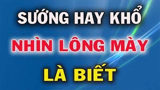 Sướng Khổ Hay Giàu Nghèo Nhìn Tướng Lông Mày Là Biết