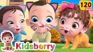 My Kitty Boo | The Cat Song + More Kidsberry Nursery Rhymes & Baby Songs