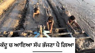 ਕੱਦੂ ਚ ਖੇਲਦੇ ਆਇਆ ਸੱਪ ਦੇਖੋ ਕਿੰਨਾ ਖ਼ਤਰਨਾਕ3630 Tractor