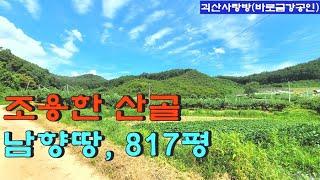 311. 괴산군 불정면. 조용한 산골 남향 복숭아밭. 817평. 지하수 전기 有. 괴산사랑방, 괴산부동산, 괴산토지, 괴산전원주택지, 괴산농막용지, 괴산땅, 바로금강공인.