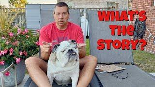 Reuben the Bulldog: Bad News/Good News