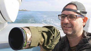 A Fun Day of Wildlife Photography on the Coast - Amble & Coquet Island (Northumberland, UK)