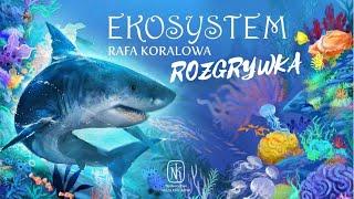 Ekosystem 2 - Rafa Koralowa  od Naszej Księgarni- rozgrywka