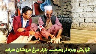 گزارش جدید از مرغ فروشی ها, کاوک فروشی ها, سگ فروشی ها و کبوتر فروشی ها در شهر هرات