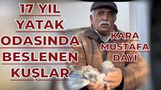 KUŞLAR İÇİN 17 EVİNİ SATTI NE GÖRÜLDÜ NE DUYULDU - KARA MUSTAFA DAYI KÜMES ZİYARETİ OYUNKUŞU UÇUMU