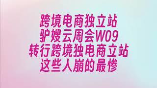 单周1w+|转行跨境电商独立站个卖，越是“科班”出身，越被毒打的厉害W09