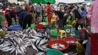 Cambodian Early Fish Market Scene - Daily Lifestyle Of Khmer People Buying Alive Fish, Dry Fish