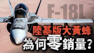 戰鬥機也有倫理戲碼？“大黃蜂”兄弟相殘，6000萬高價打掉F-18L！大黃蜂陸基版 為何無人問津？#戰鬥機 #戰機 #F18L #F/A18 #大黃蜂戰機