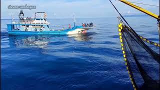 KAPAL IKAN INDONESIA  KAPAL PANCING CAKALANG TERNATE